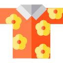 hawai icon