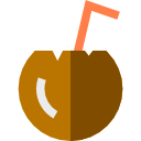 coco icon