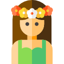 hawai icon