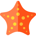 estrella de mar icon