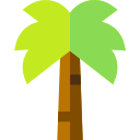 palmera