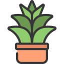 agave icon