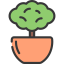 planter un arbre