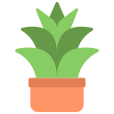 agave icon