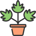 monstera de hoja icon