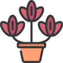 tulipanes icon