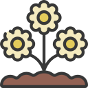 margaritas icon