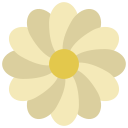 Daisy icon