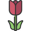 tulipán icon