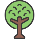 Árbol icon