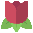 Tulip icon