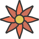 gazania