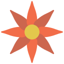 gazania