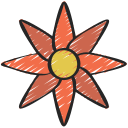 gazania