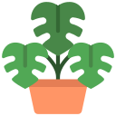 monstera icon