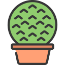 cactus icon