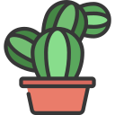 cactus icon