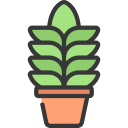 agave icon