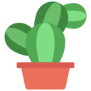 Cactus icon