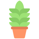 agave icon