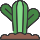 cactus icon