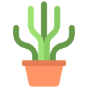 cactus icon