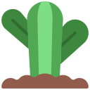 cactus icon