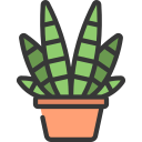 planta de cebra icon