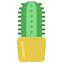 cactus icon