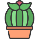 cactus icon