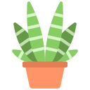 planta de cebra icon