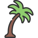 palmera