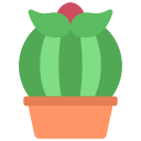 cactus icon