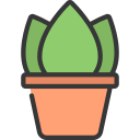 aglaonema icon