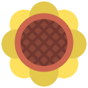 Sunflower icon