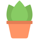 aglaonema icon