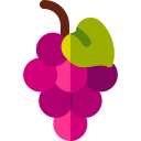 uvas icon