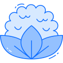 coliflor icon