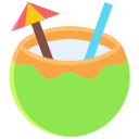 agua de coco icon