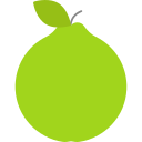 guayaba icon