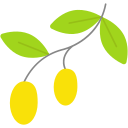 aceituna icon