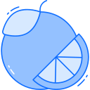 mandarina icon