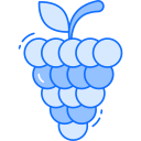 uvas icon