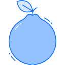 guayaba icon