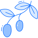 aceituna icon