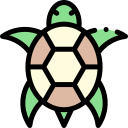 tortuga icon