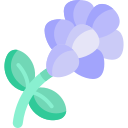 lavanda icon