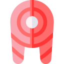 salmón icon