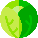 vegetal icon