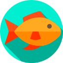 pescado 